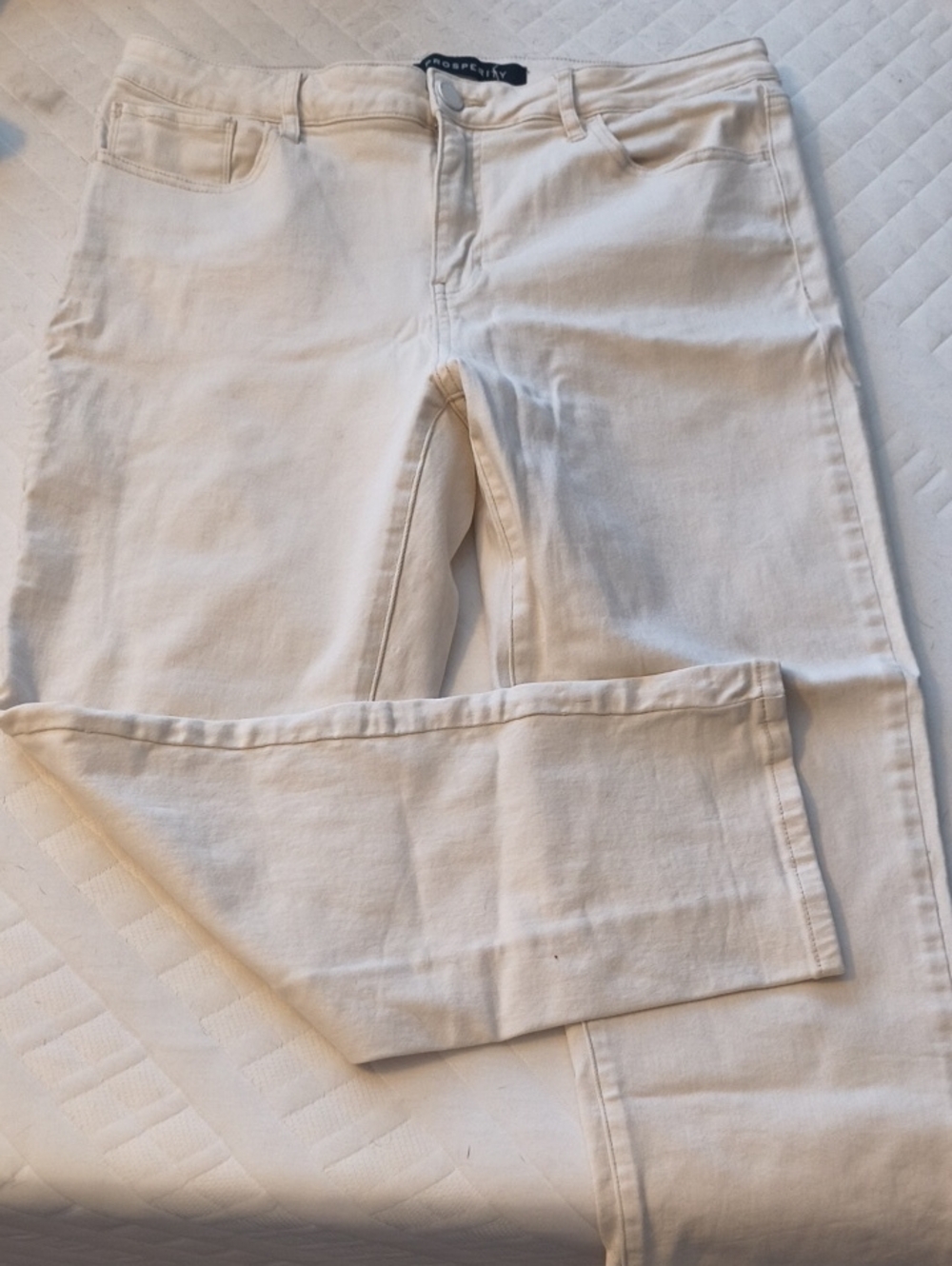 Prosperity Ankle Length Skinny Utility Jeans in White
